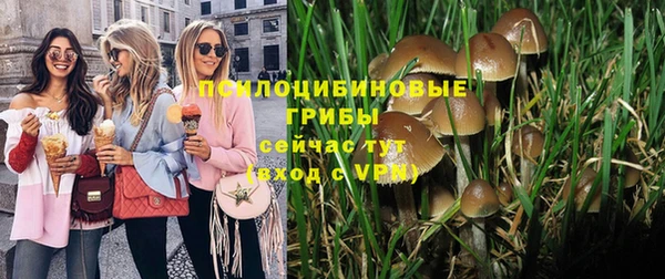 ALPHA PVP Алексеевка