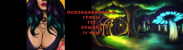 ALPHA PVP Алексеевка