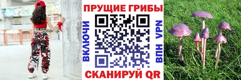 Галлюциногенные грибы мухоморы  ОМГ ОМГ рабочий сайт  Завитинск 