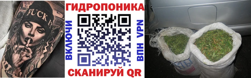 Шишки марихуана семена  Завитинск 